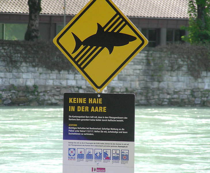 Bern: Haie in der Aare
