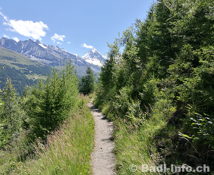 Chemin de randonnee Val d'Herens