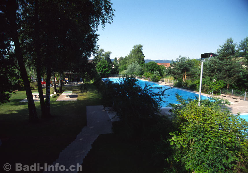 Schwimmbad Neftenbach